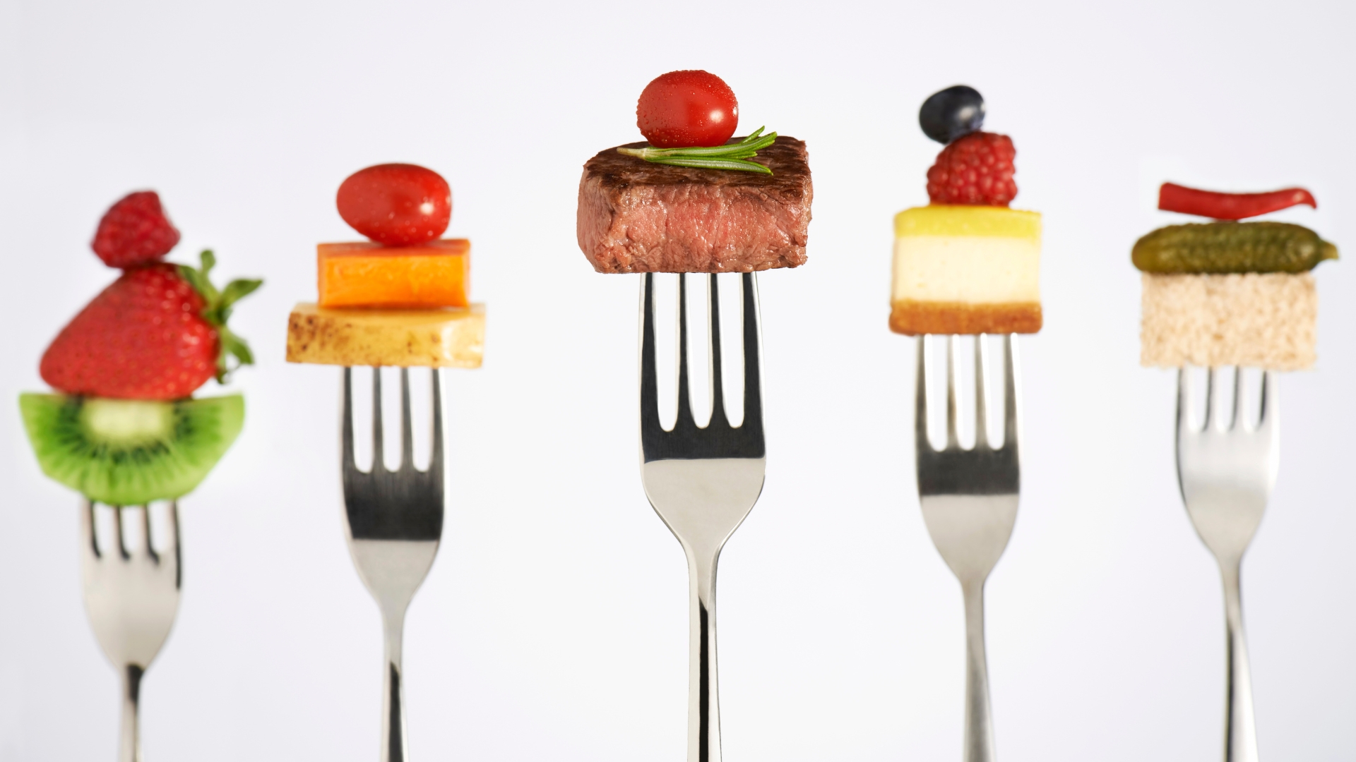 Les enfants du CME élaborent des menus pour le restaurant scolaire