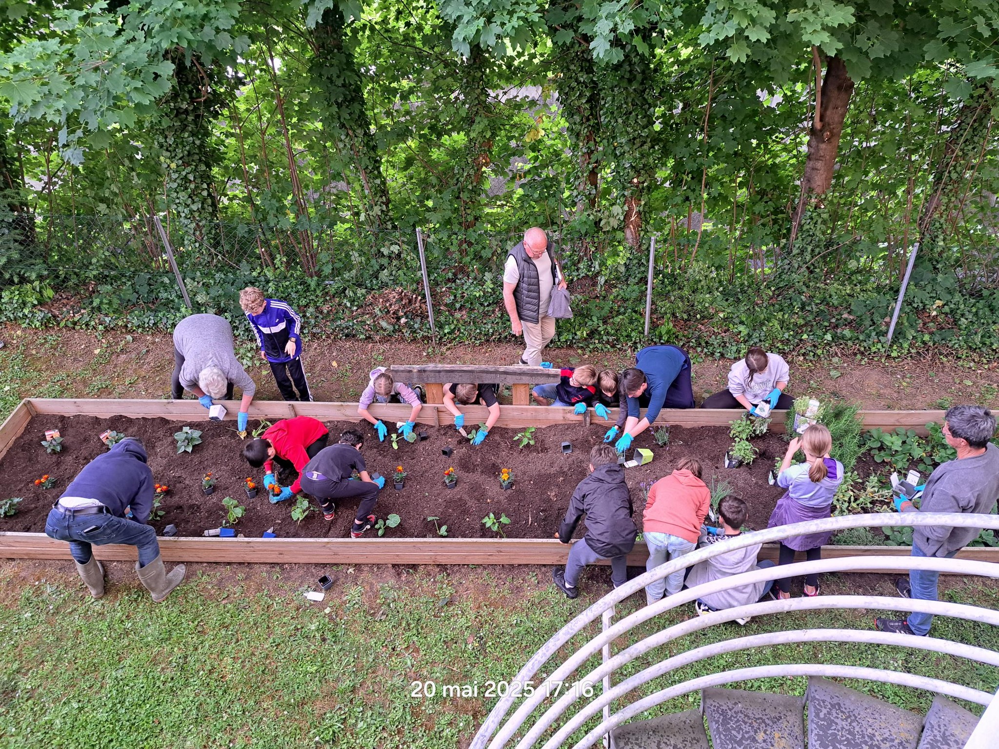 Plantations potager par le CME